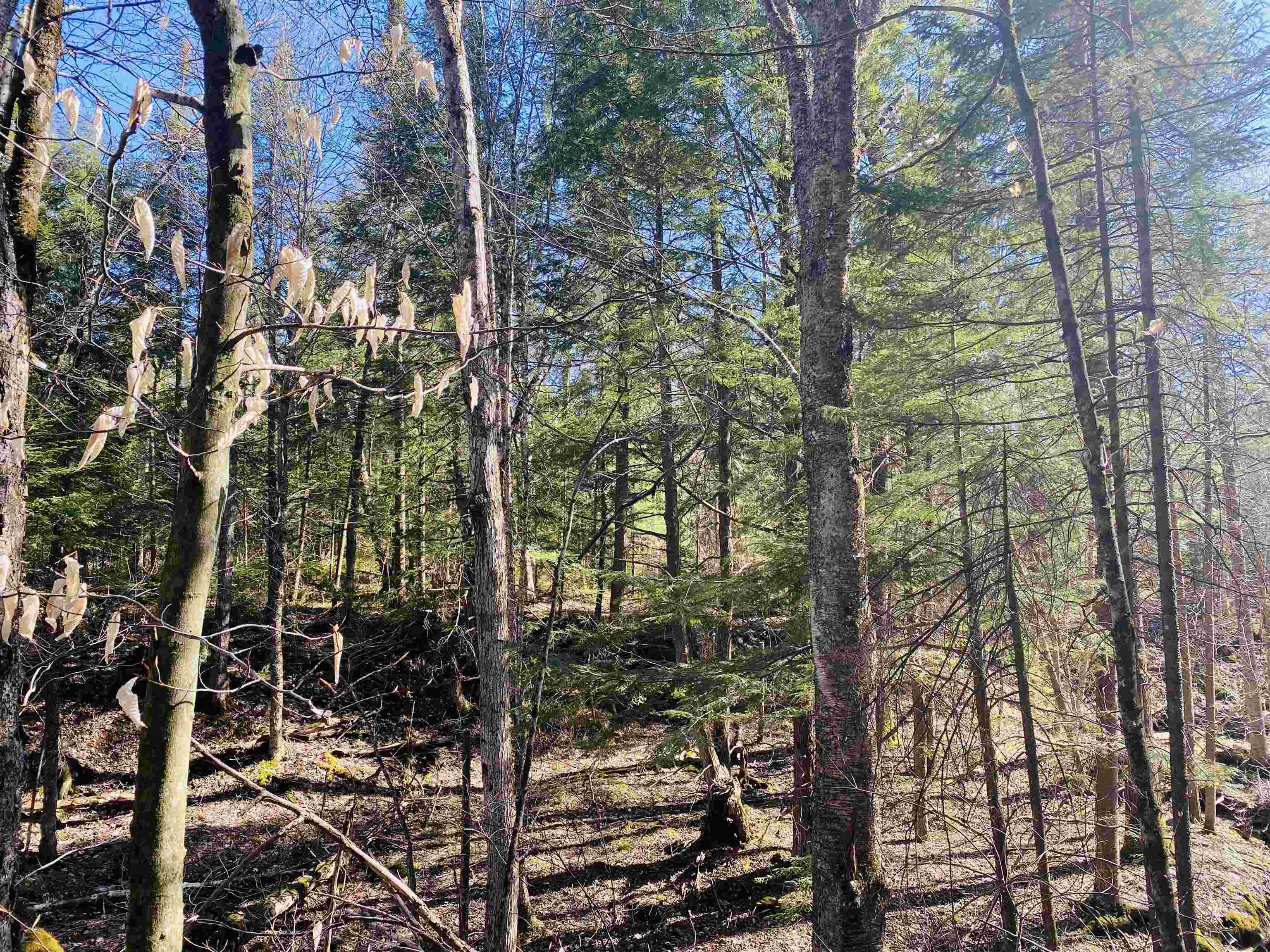 Lot 7 Journeys End Road, Unit 7 Jay, VT 05859 - Photo 3 of 9 Gallery Image 3