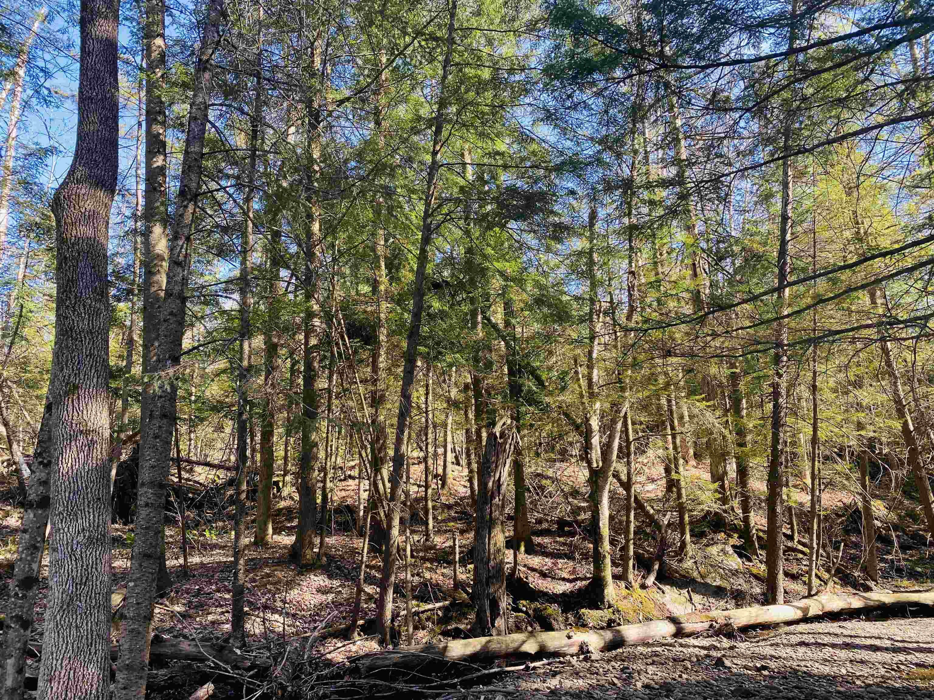 Lot 7 Journeys End Road, Unit 7 Jay, VT 05859 - Photo 4 of 9 Gallery Image 4