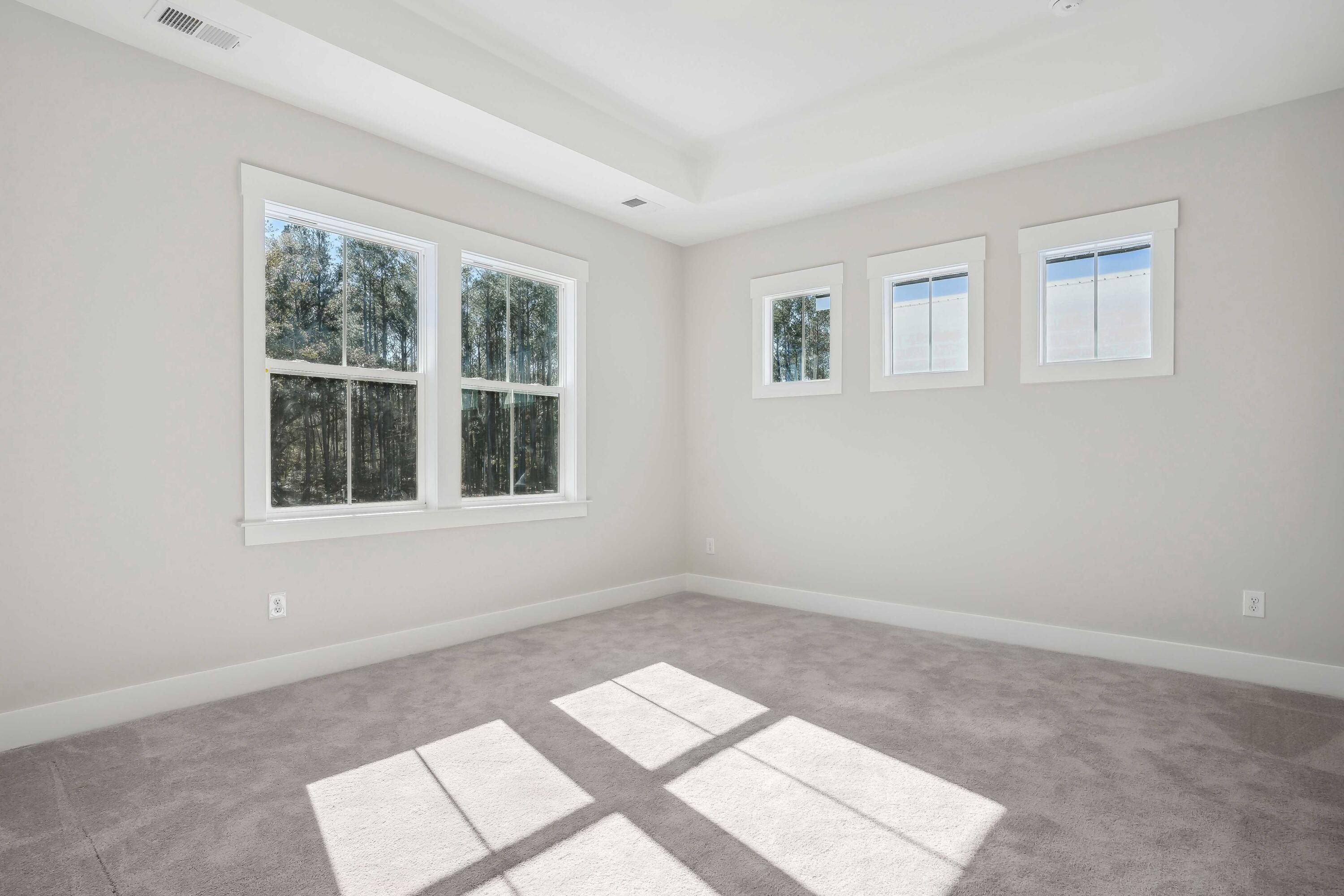444 Queenview Lane Charleston, SC 29414 - Photo 6 of 9 Primary Bedroom_1