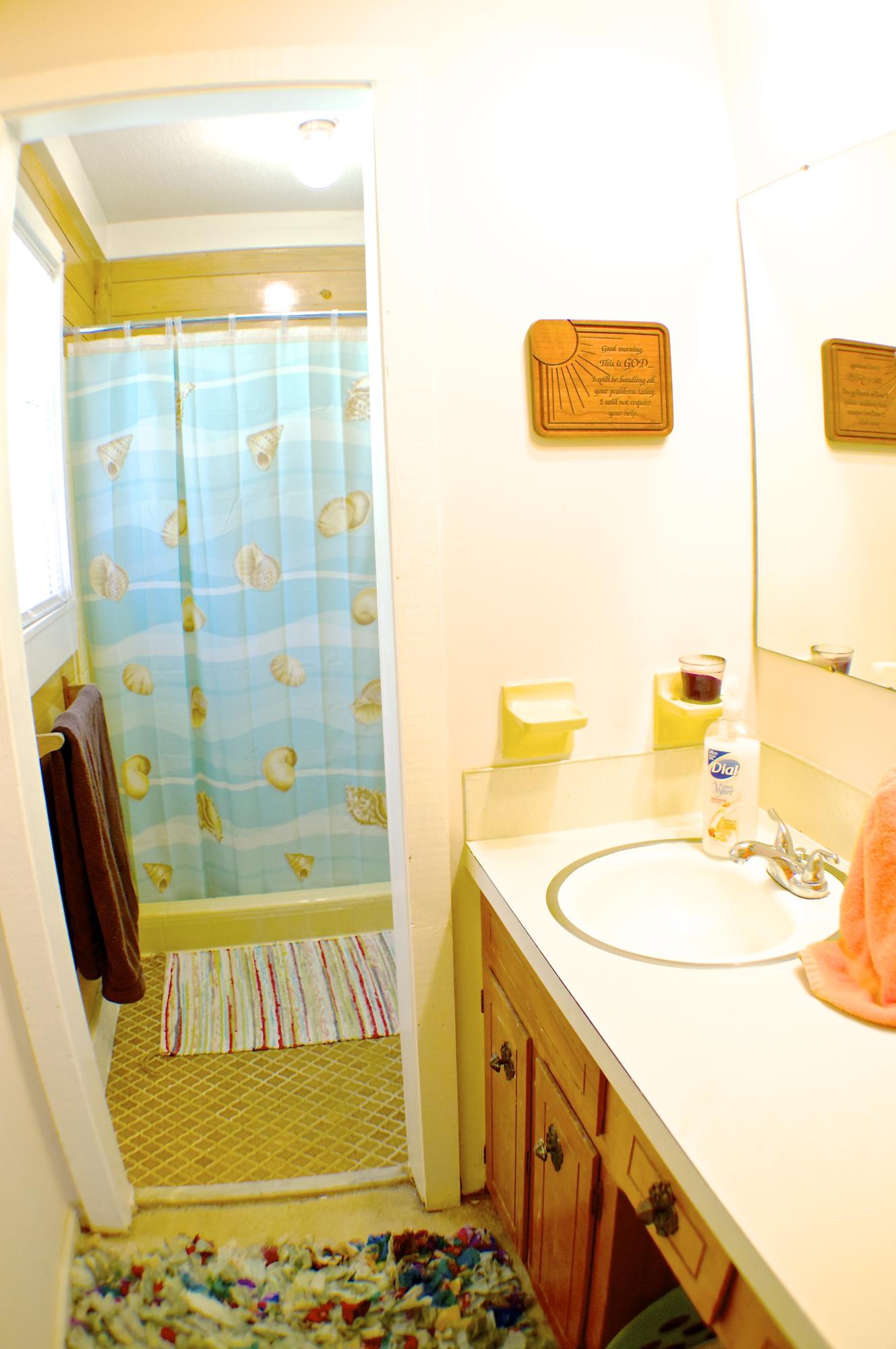 8265 Delhi Road North Charleston, SC 29406 - Photo 12 of 22 Master Bathroom