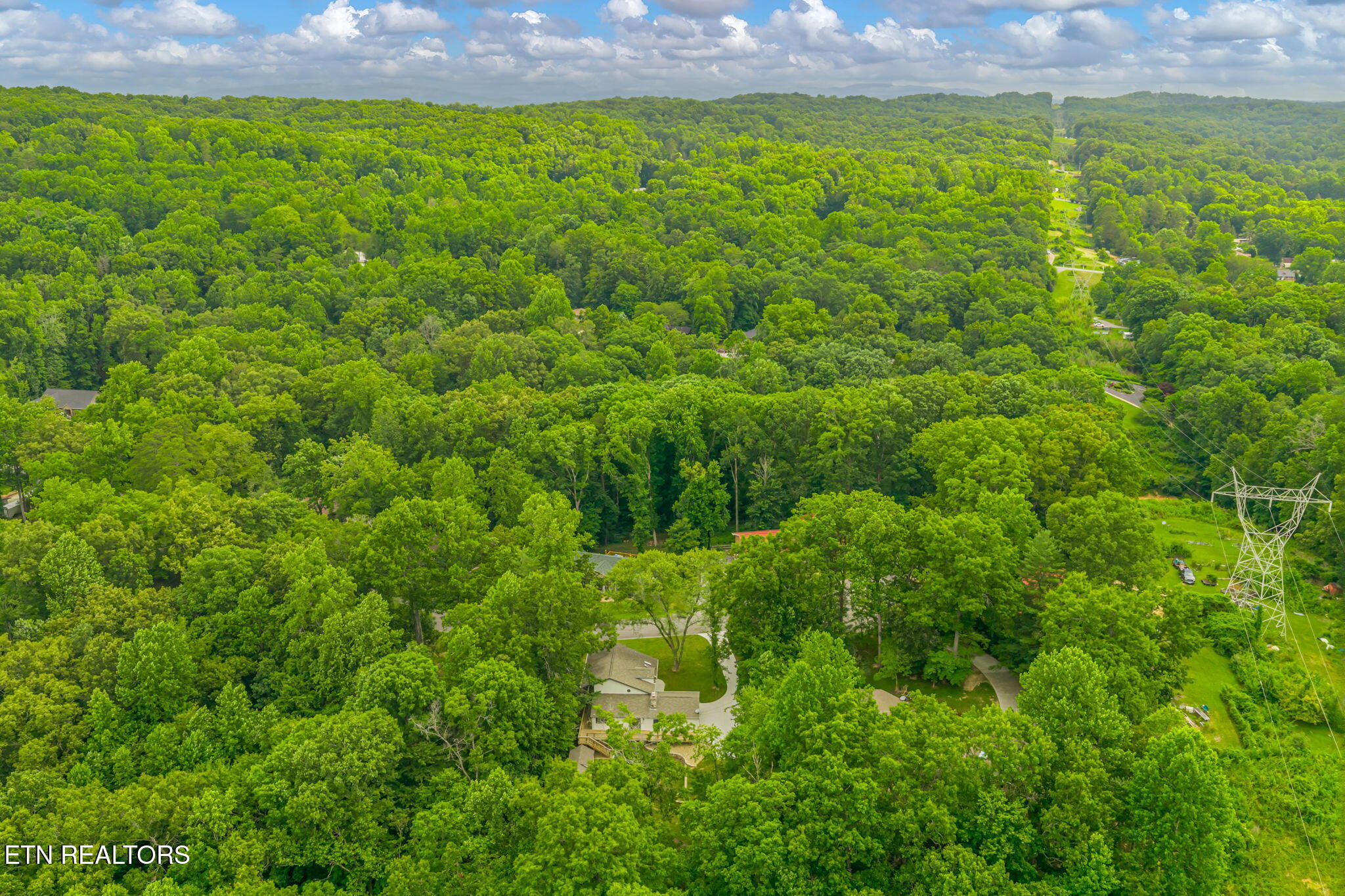 138 Newell Lane Oak Ridge, TN 37830 - Photo 49 of 51 138 Newell Ln - Aerial View (4)