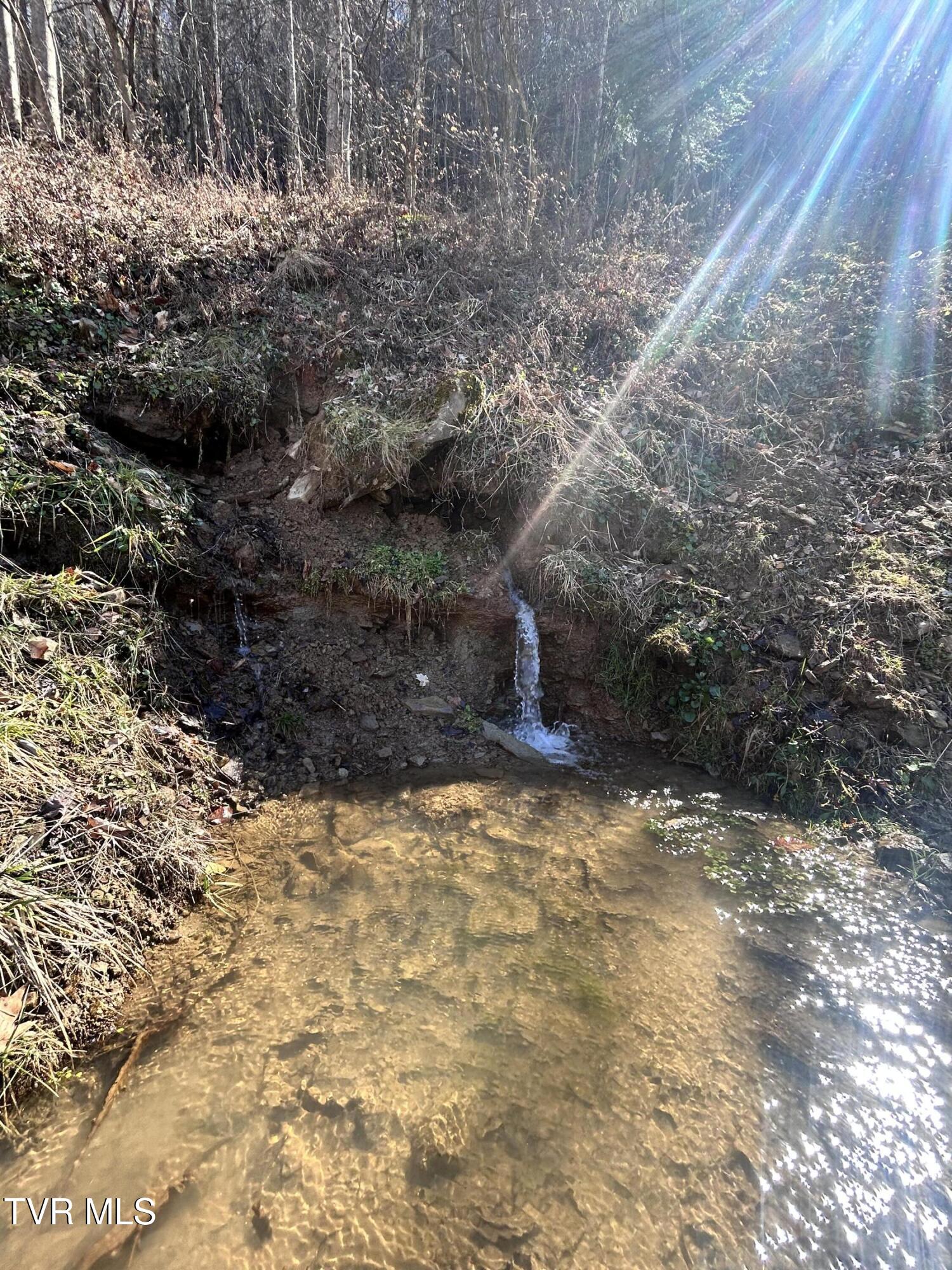 1460 Gum Branch Road Oakwood, VA 24631 - Photo 15 of 18 IMG_2224