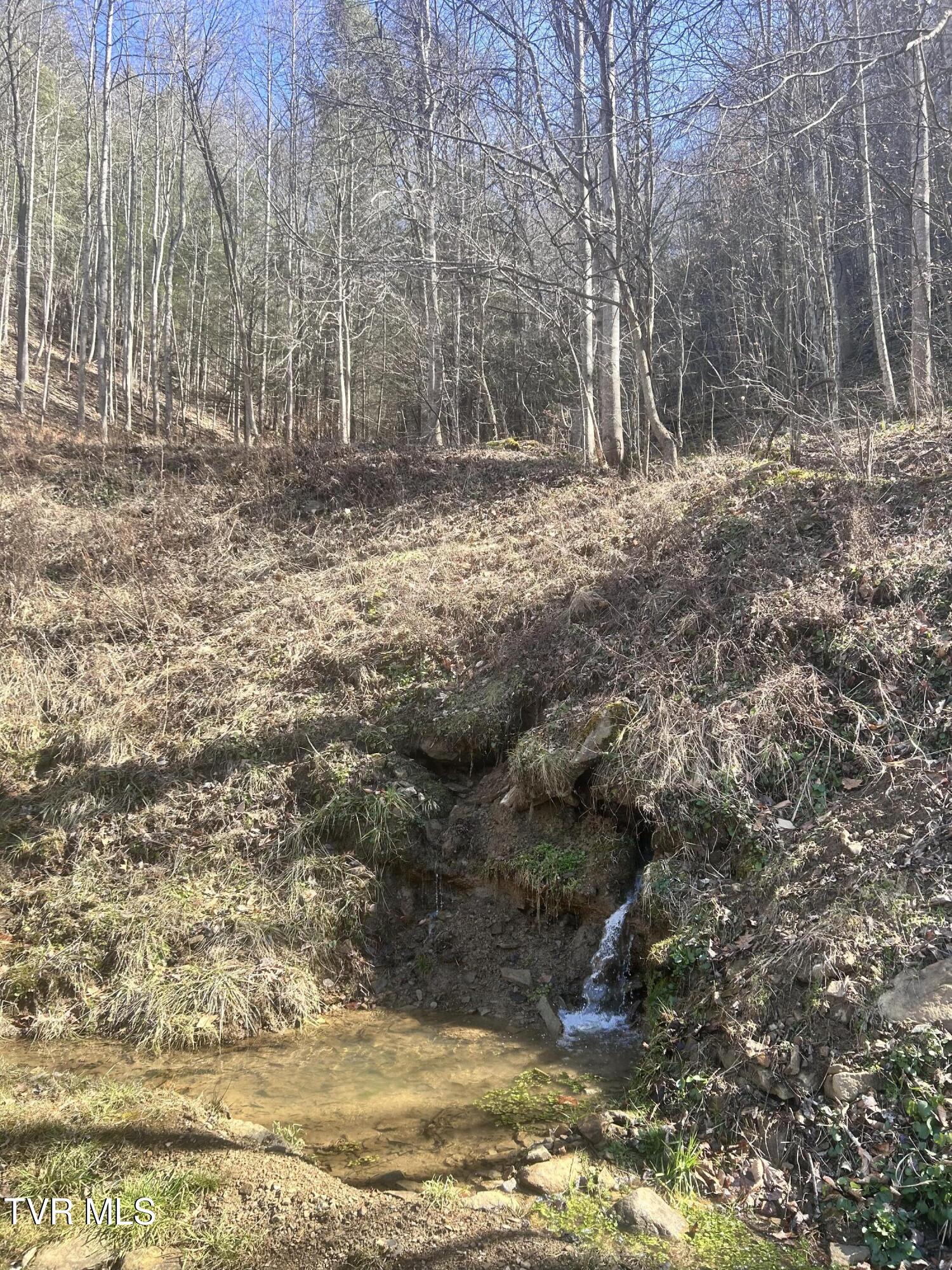 1460 Gum Branch Road Oakwood, VA 24631 - Photo 18 of 18 IMG_2221