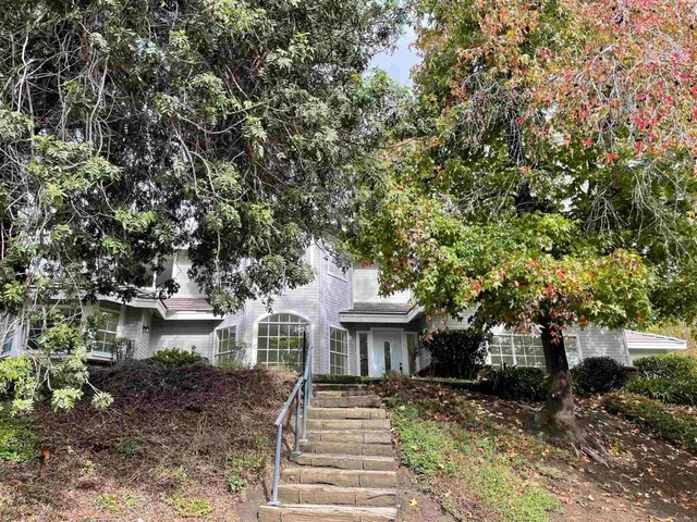 a view of yard with tree