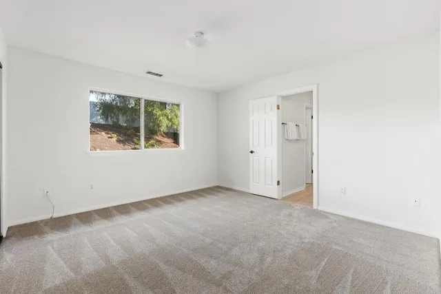 a view of a park with large trees