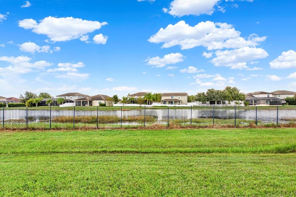 1851 Arbor Knoll Loop Trinity, FL 34655 - Photo 48 of 49