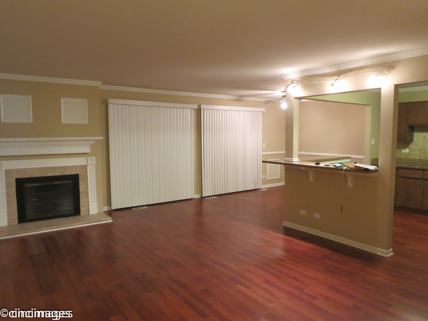 1548 7 Pines Road, Unit B1 Schaumburg, IL 60193 - Photo 2 of 11 a view of empty room with wooden floor and fireplace