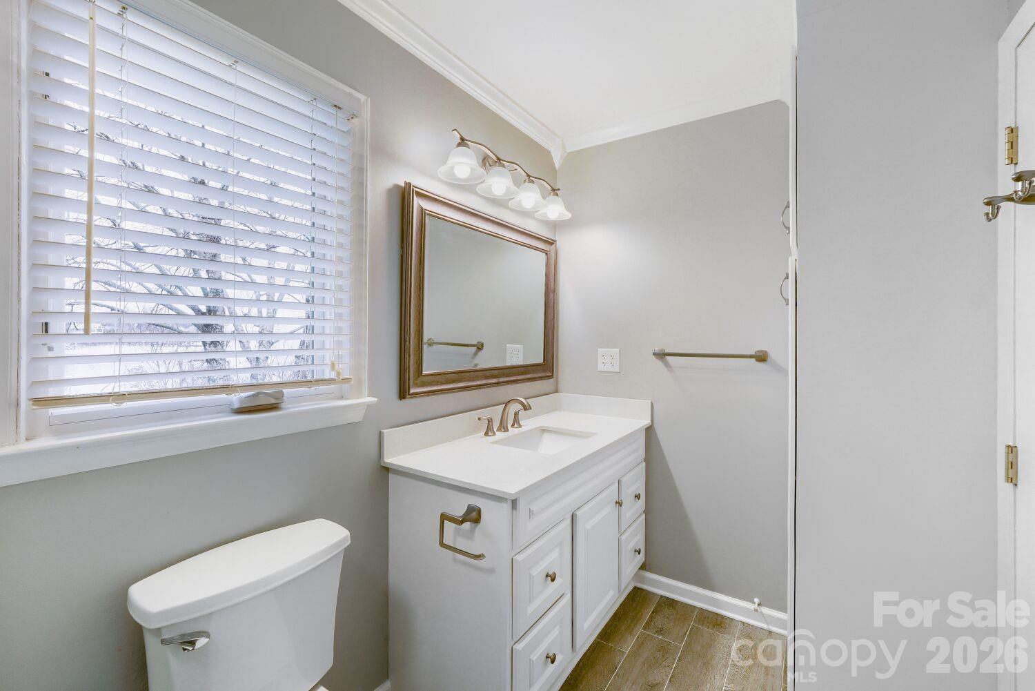 22527 John Gamble Road Cornelius, NC 28031 - Photo 20 of 33 a bathroom with a sink and a mirror
