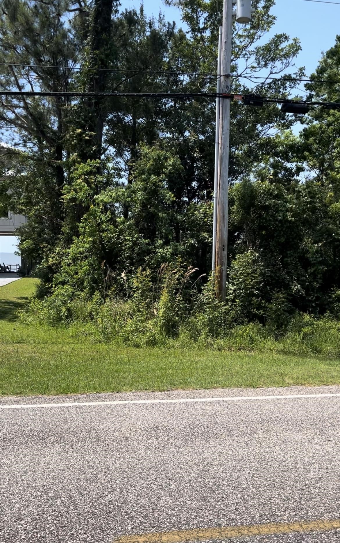 37824 County Road 1 Fairhope, AL 36532 - Photo 13 of 17 Looking West