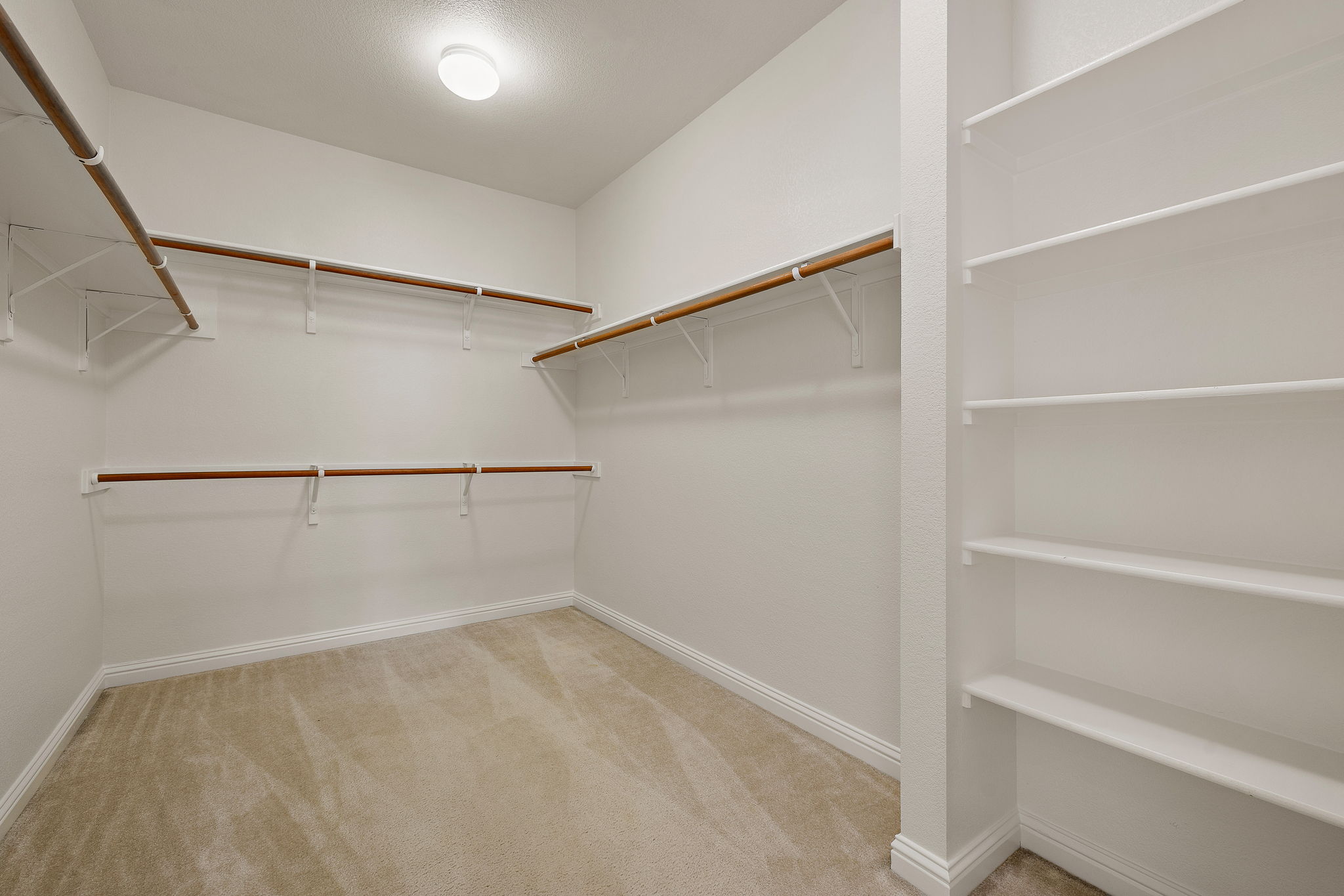 1115 Canyon Maple Road Pflugerville, TX 78660 - Photo 22 of 34 Large primary closet with built-ins