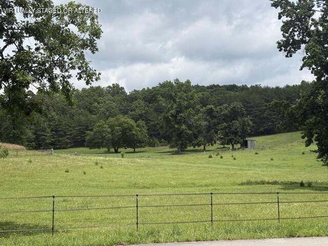 Front Porch View