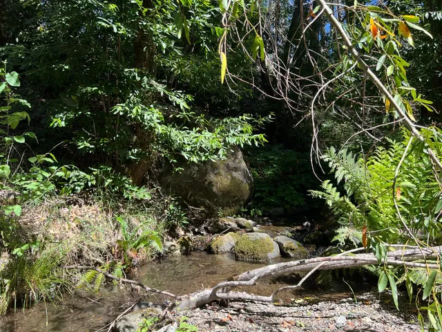 $85,000 | 20925 Mid Mountain, Upper Lake, CA 95485