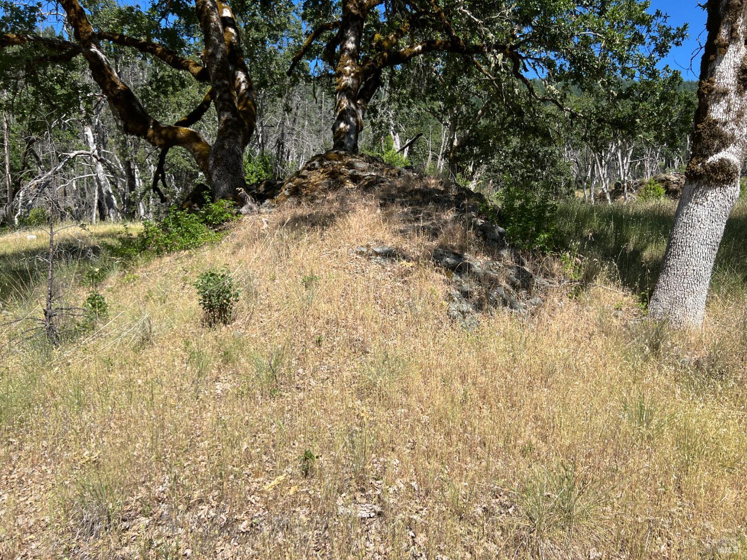 20925 Mid Mountain Upper Lake, CA 95485 - Photo 11 of 16