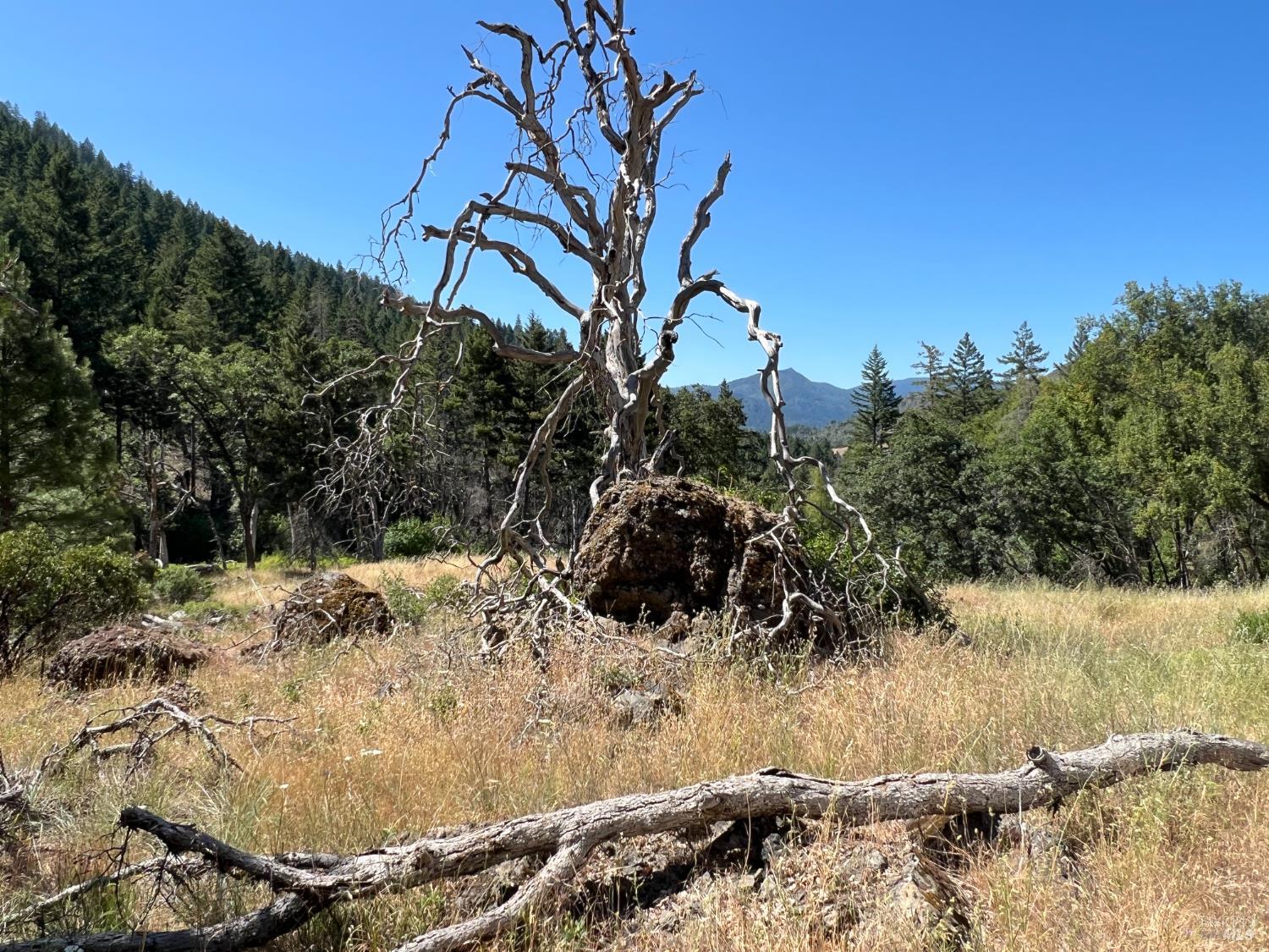 20925 Mid Mountain Upper Lake, CA 95485 - Photo 12 of 16