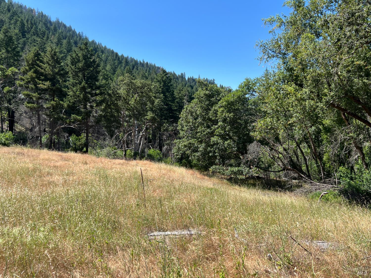 20925 Mid Mountain Upper Lake, CA 95485 - Photo 3 of 16