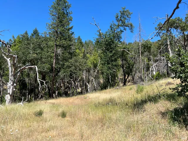 $79,000 | 20925 Mid Mountain, Upper Lake, CA 95485