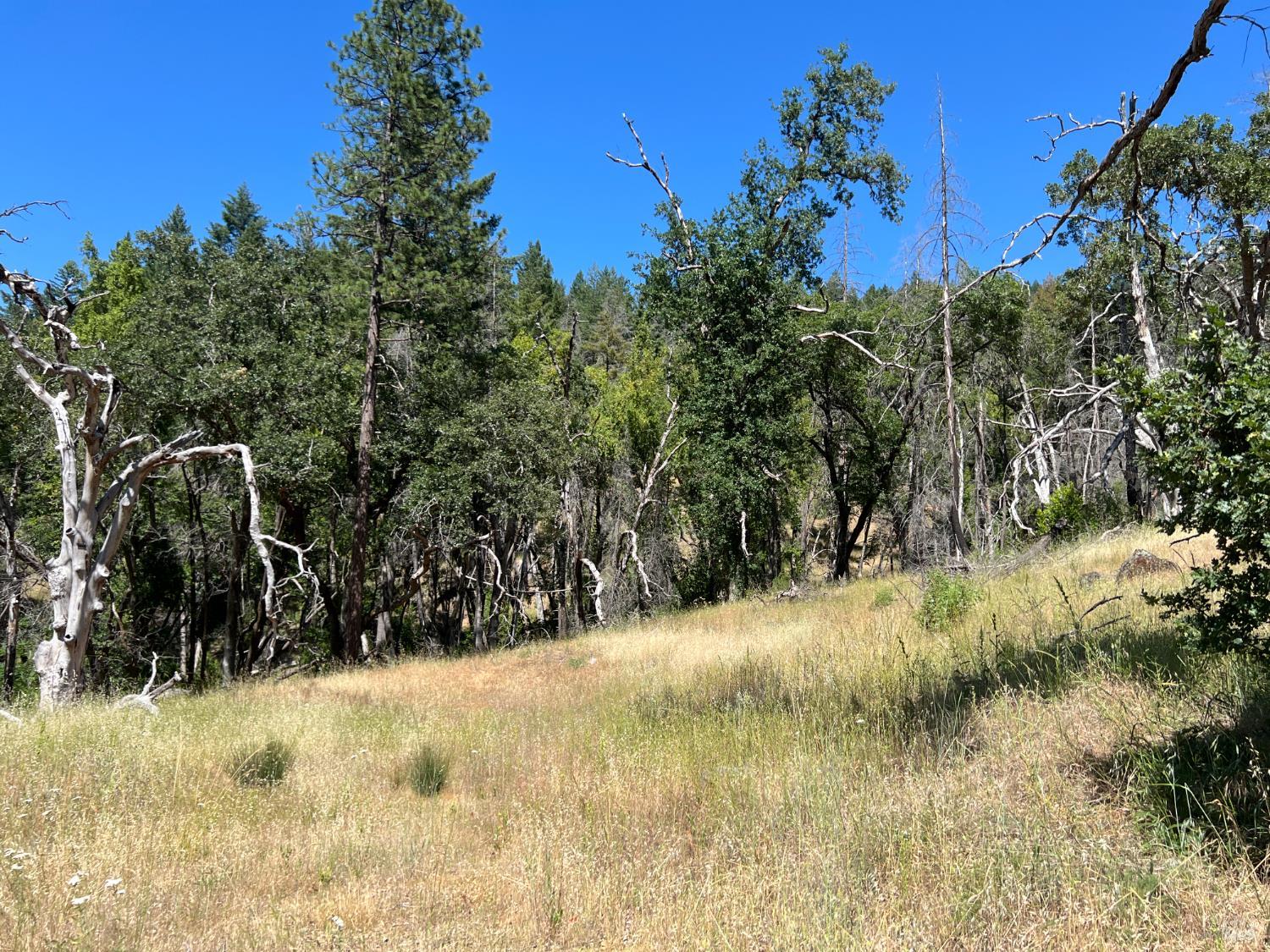 20925 Mid Mountain Upper Lake, CA 95485 - Photo 4 of 16