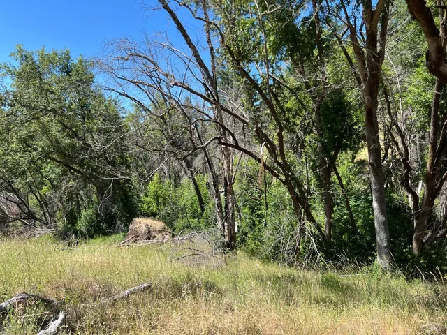 $79,000 | 20925 Mid Mountain, Upper Lake, CA 95485