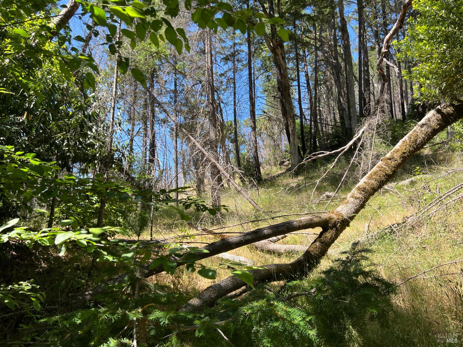 20925 Mid Mountain Upper Lake, CA 95485 - Photo 8 of 16