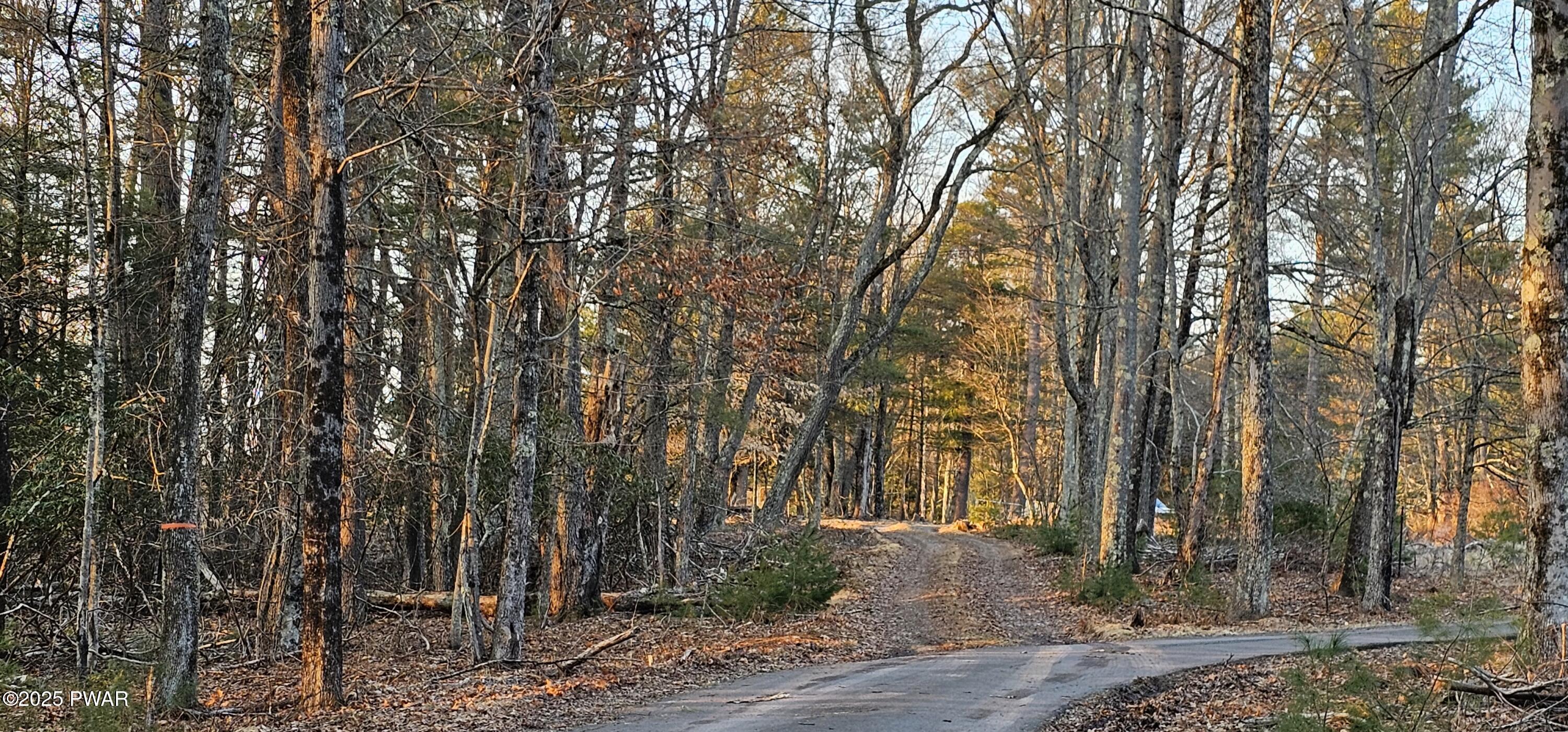 Lot 16.1 Beaver Brook Road Narrowsburg, NY 12764 - Photo 8 of 10