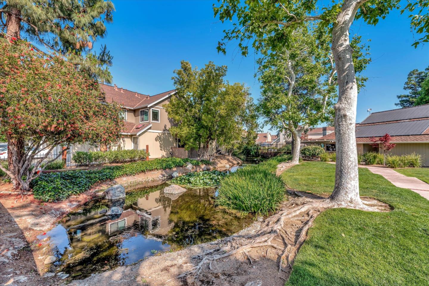 17075 Creekside Circle Morgan Hill, CA 95037 - Photo 34 of 49 a view of backyard with green space