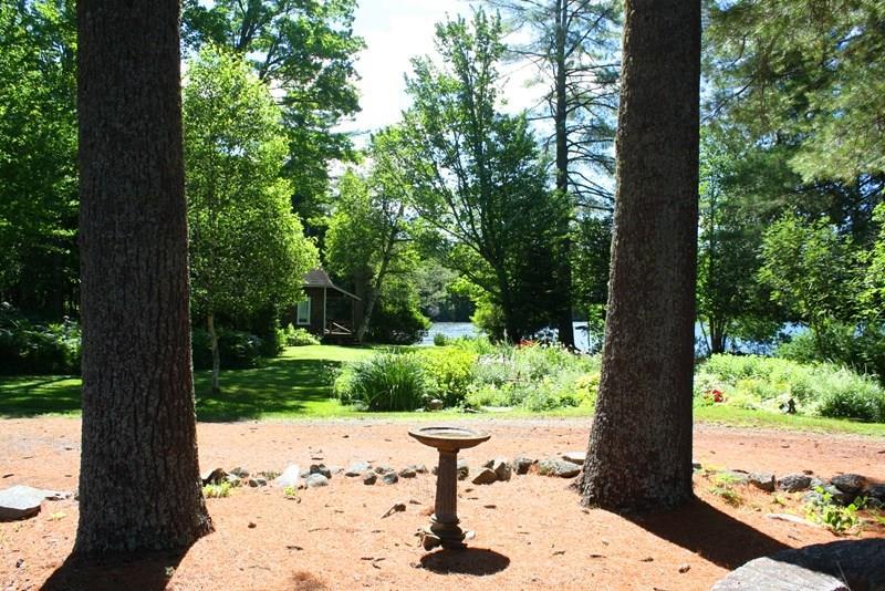 212 Quimby Pond Road Rangeley, ME 04970 - Photo 37 of 44 Grounds