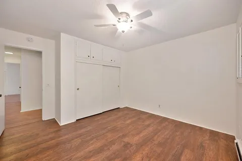 a view of a backyard with plants and a tree