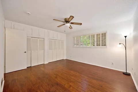a view of a yard with plants and large trees