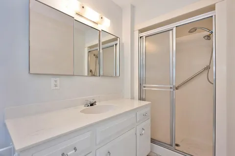 a view of outdoor space with trees all around