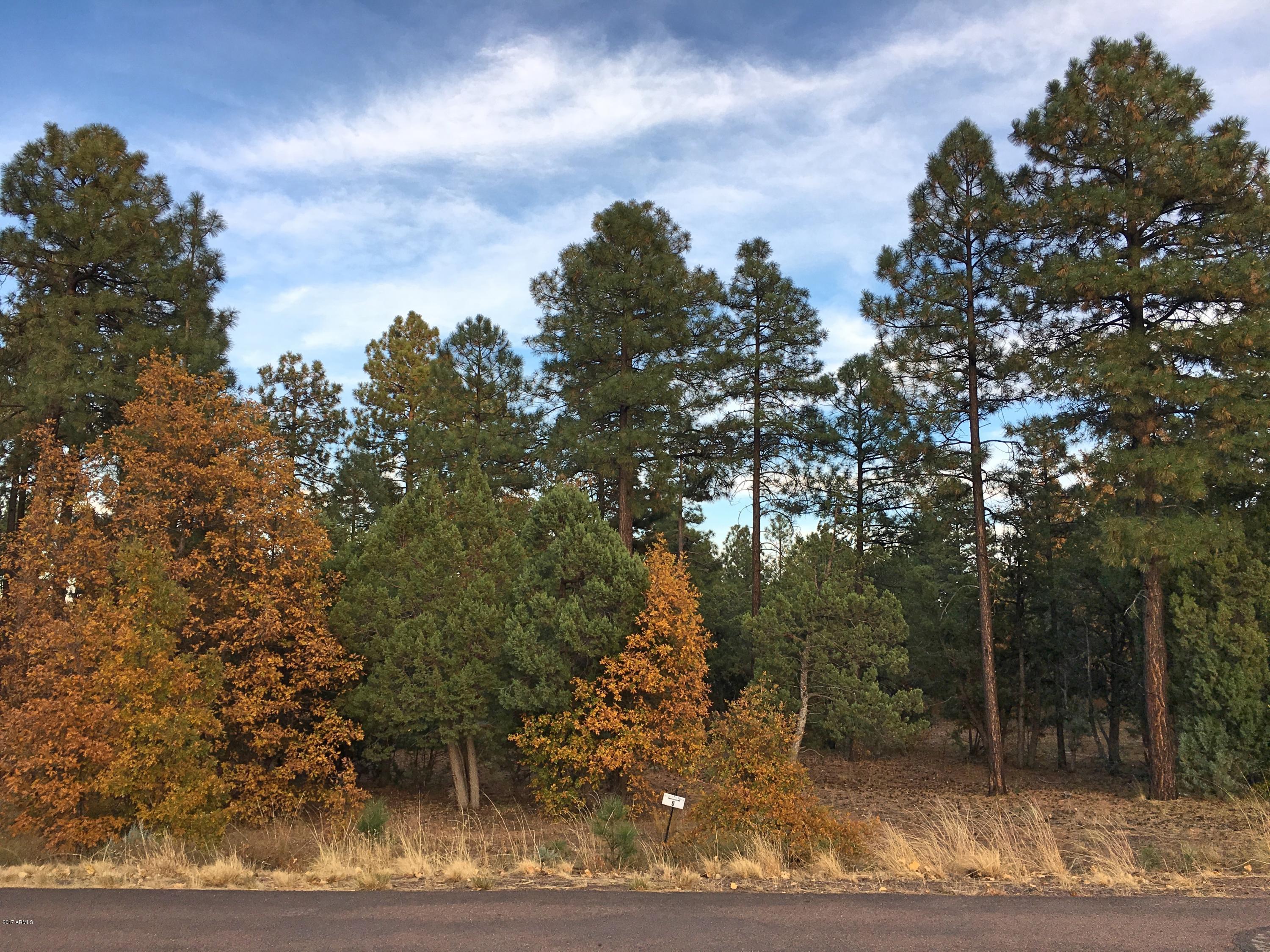 5809 Starlight Ridge Road, Unit 6 Lakeside, AZ 85929 - Photo 1 of 15 Land 4