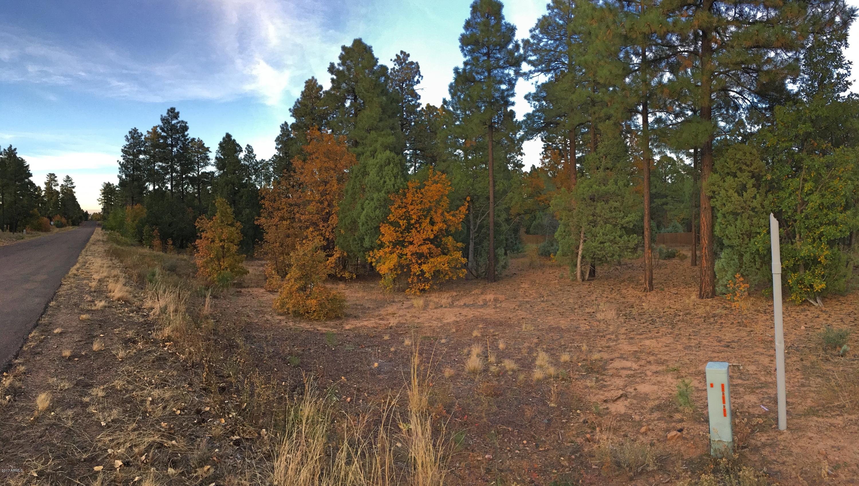 5809 Starlight Ridge Road, Unit 6 Lakeside, AZ 85929 - Photo 11 of 15 Land 10