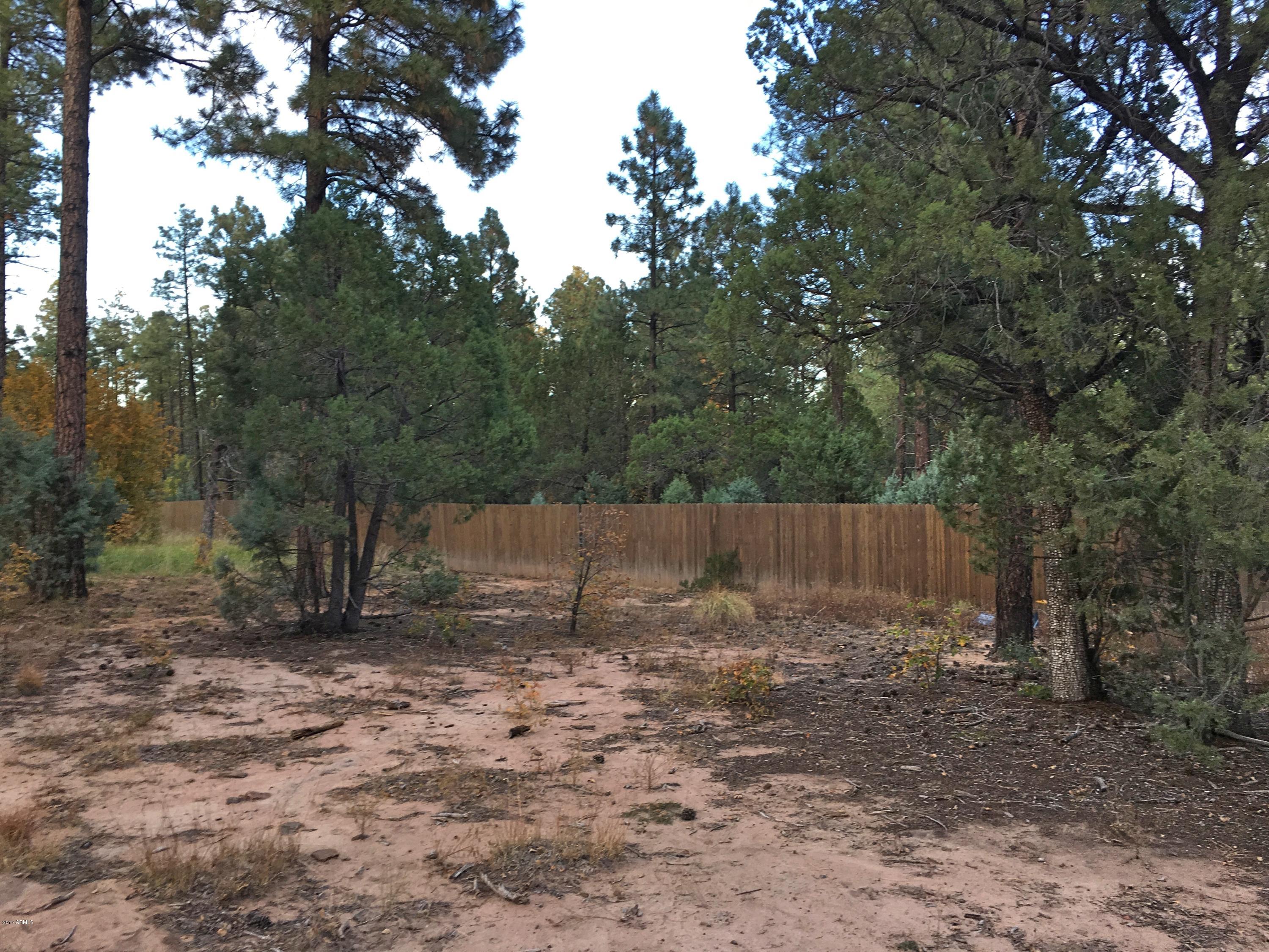 5809 Starlight Ridge Road, Unit 6 Lakeside, AZ 85929 - Photo 12 of 15 Land 9