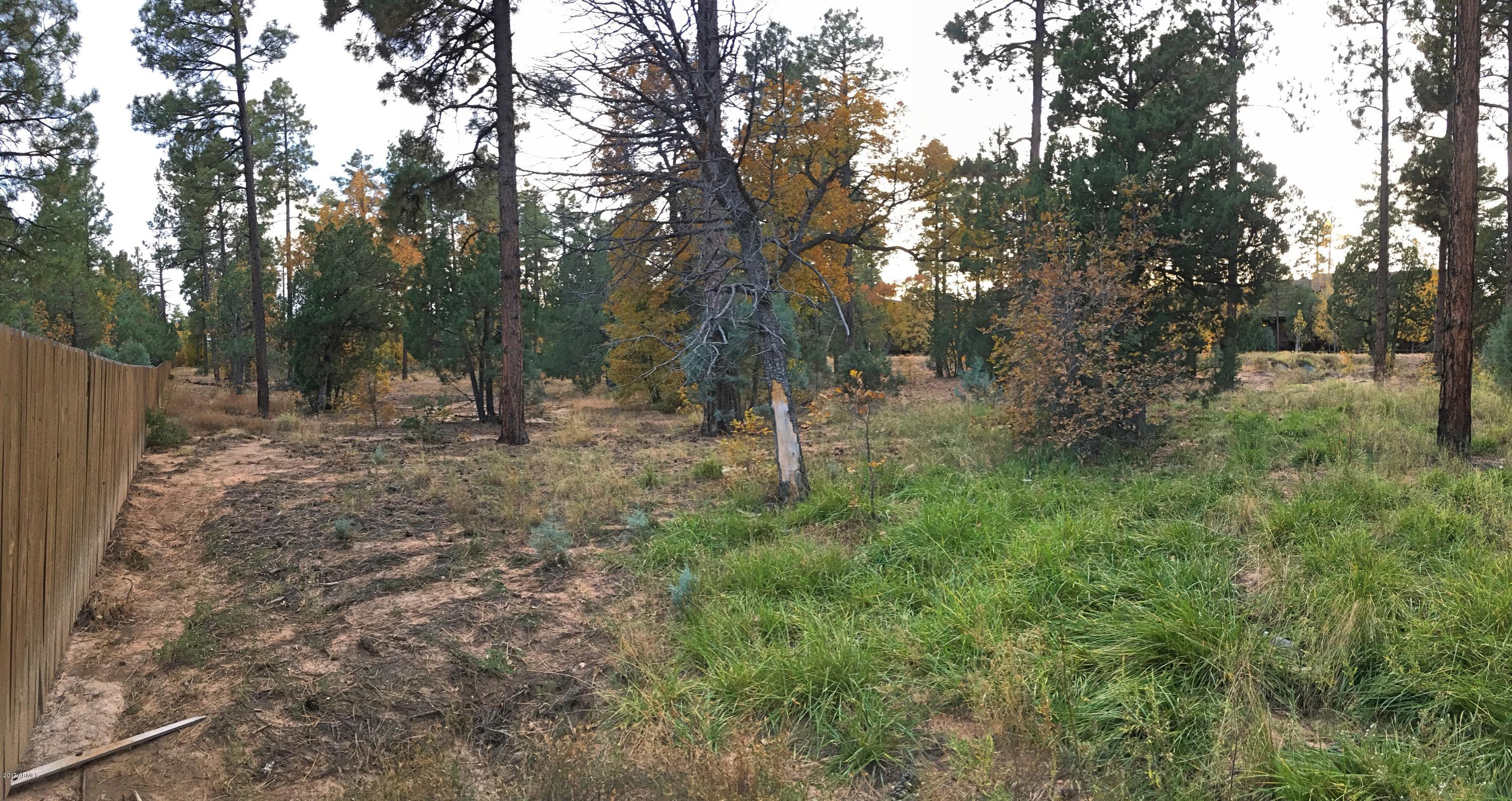 5809 Starlight Ridge Road, Unit 6 Lakeside, AZ 85929 - Photo 13 of 15 Land 7