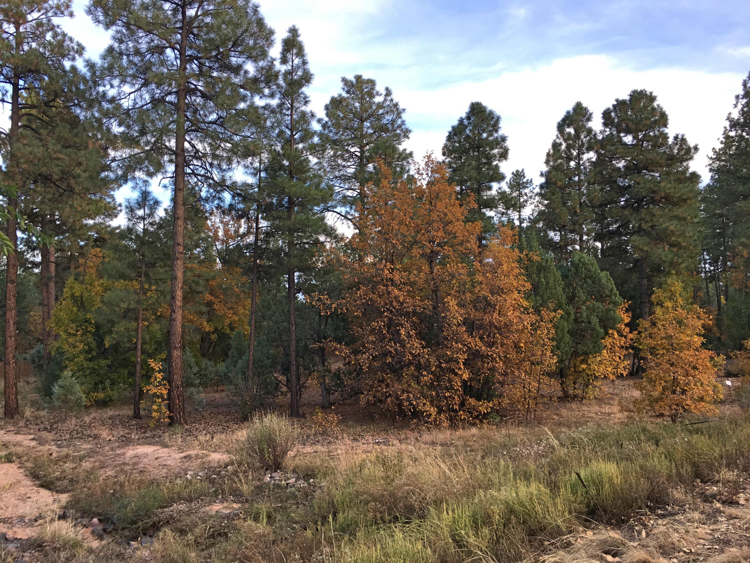 5809 Starlight Ridge Road, Unit 6 Lakeside, AZ 85929 - Photo 14 of 15 Land 5