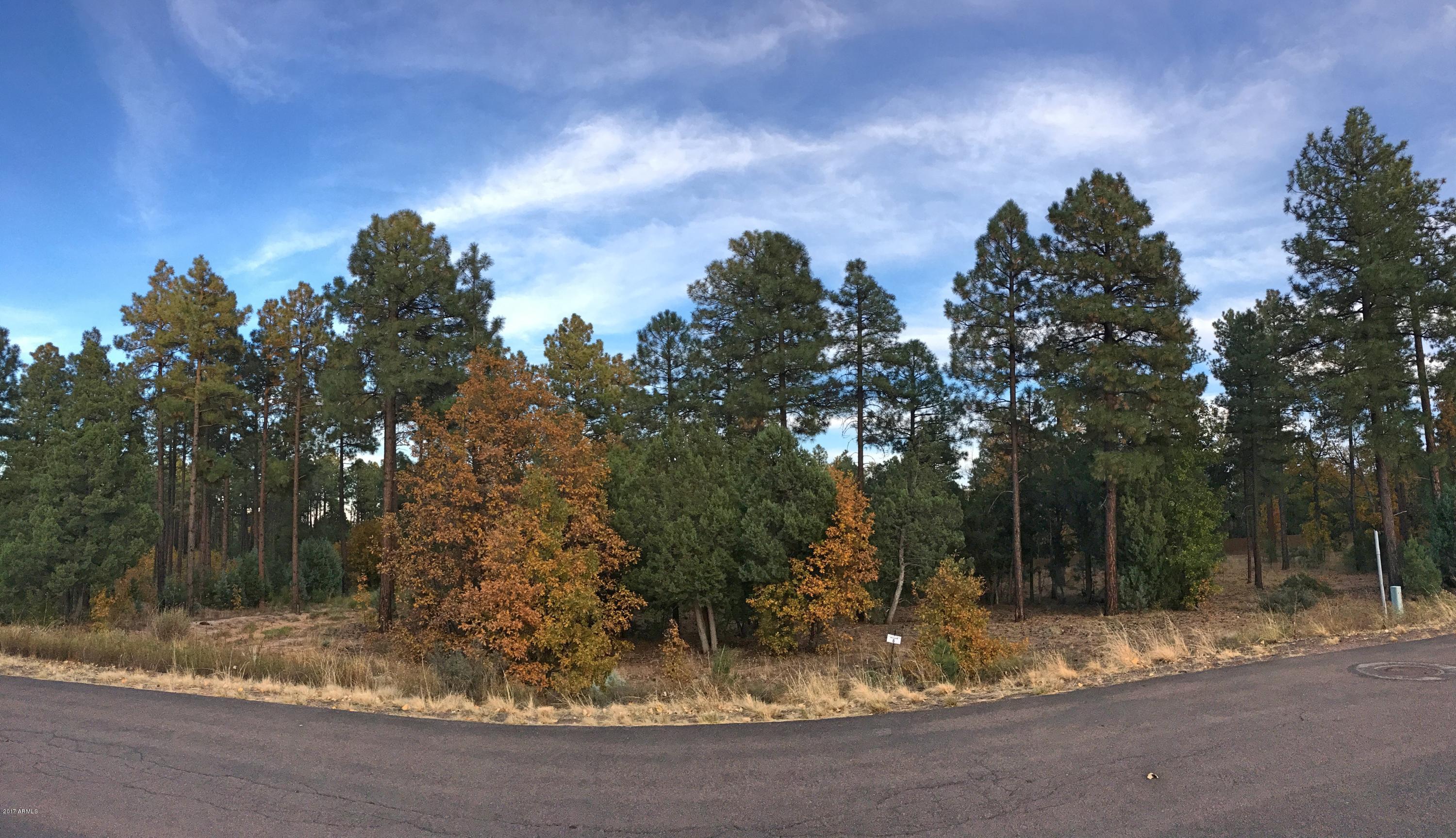 5809 Starlight Ridge Road, Unit 6 Lakeside, AZ 85929 - Photo 2 of 15 Land 3