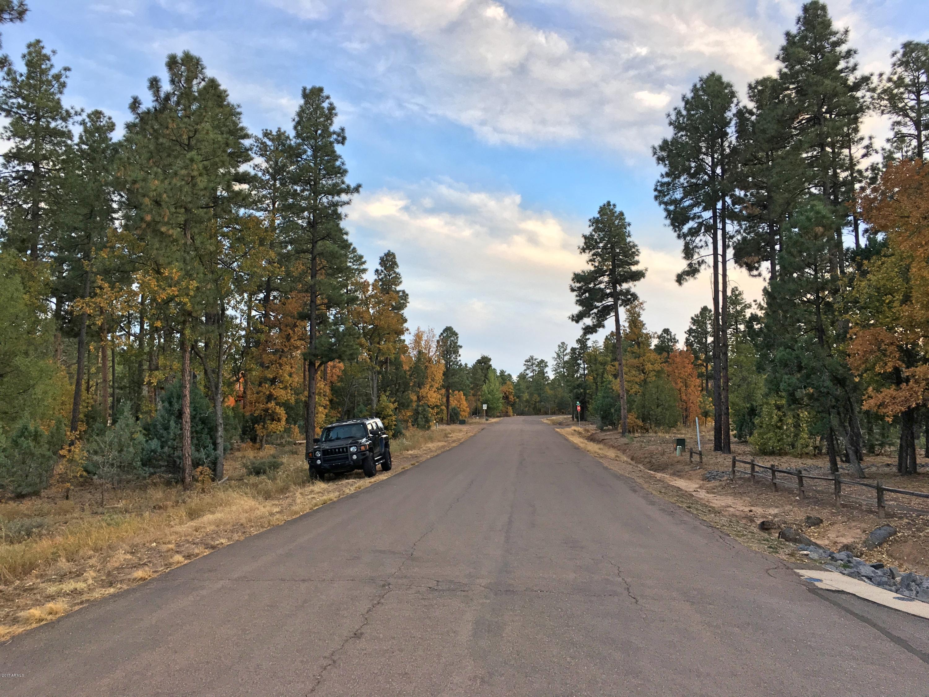 5809 Starlight Ridge Road, Unit 6 Lakeside, AZ 85929 - Photo 5 of 15 Land 17