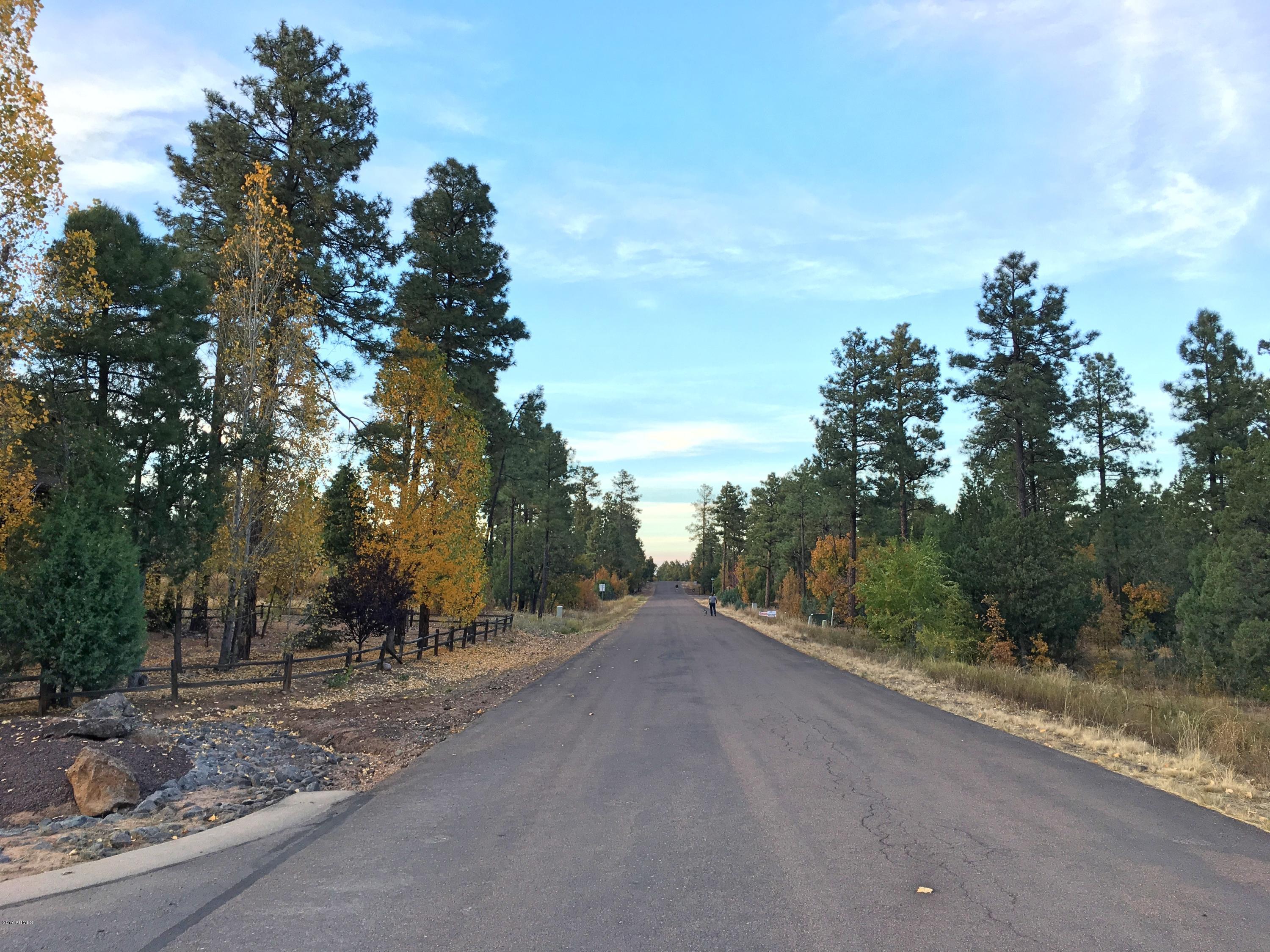 5809 Starlight Ridge Road, Unit 6 Lakeside, AZ 85929 - Photo 6 of 15 Land 16