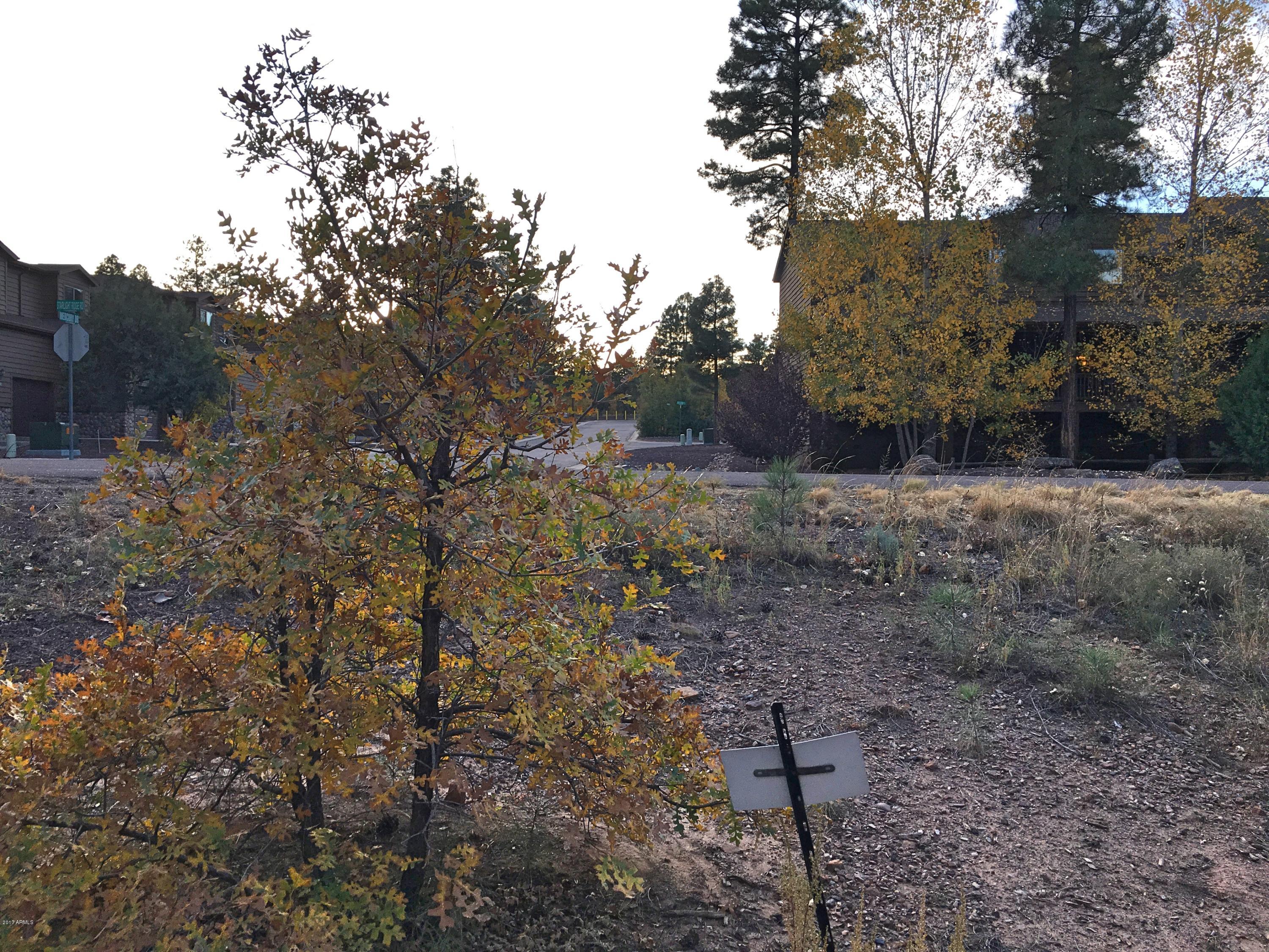 5809 Starlight Ridge Road, Unit 6 Lakeside, AZ 85929 - Photo 9 of 15 Land 12