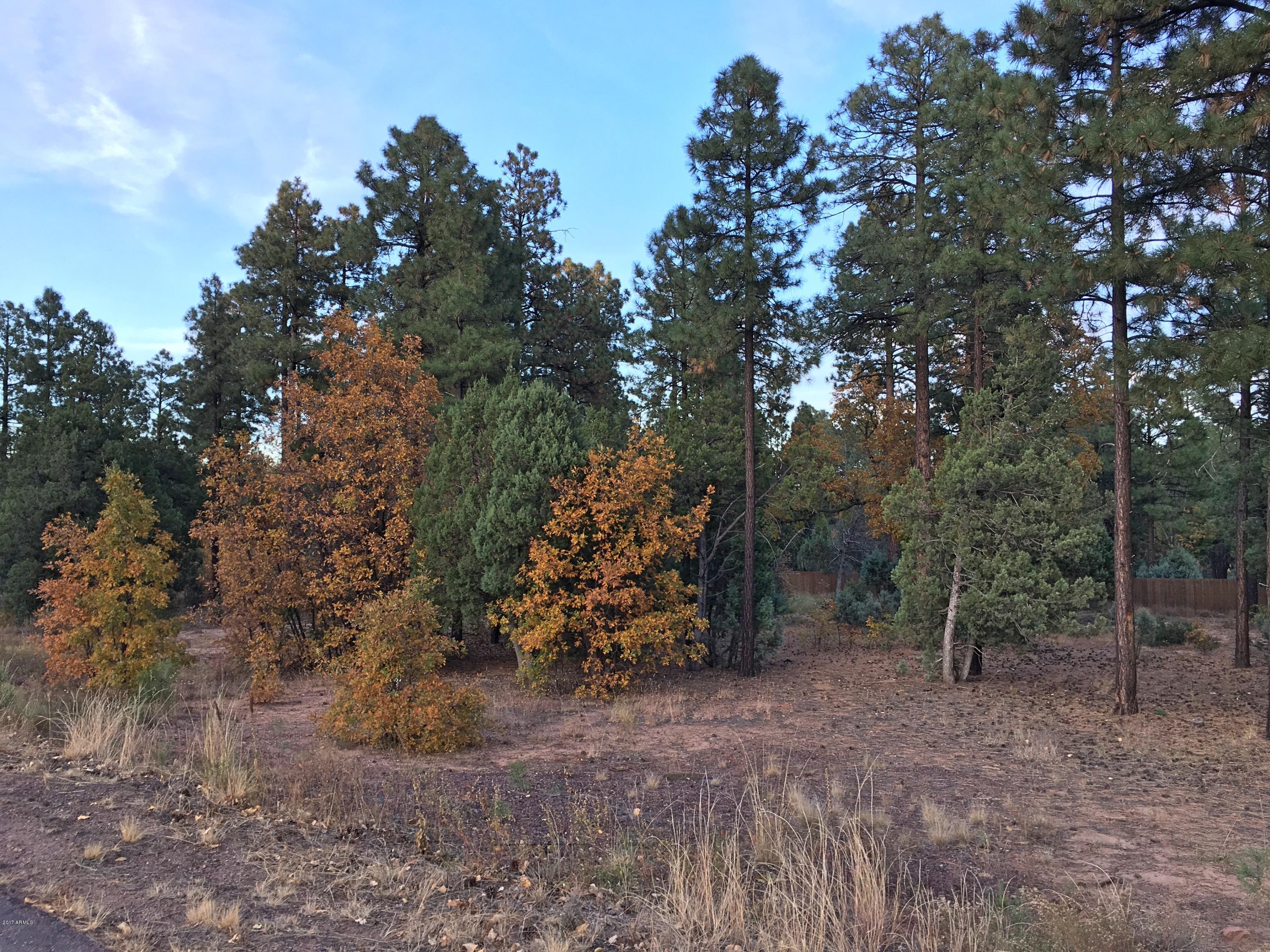 5809 Starlight Ridge Road, Unit 6 Lakeside, AZ 85929 - Photo 10 of 15 Land 11