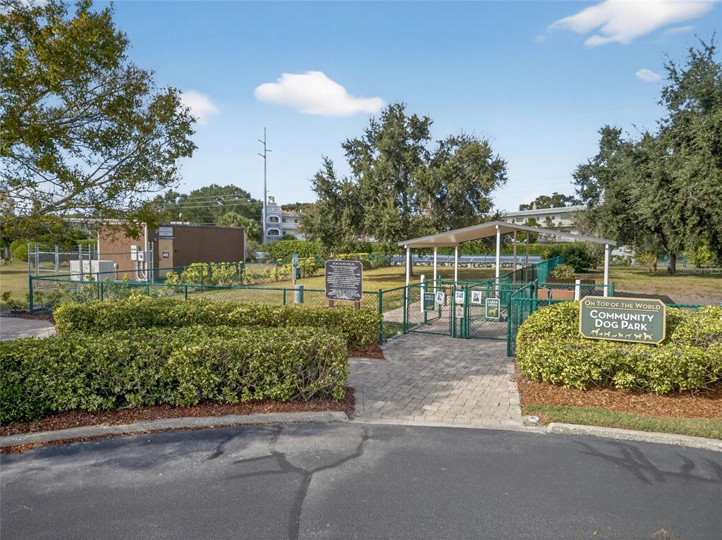 2292 Austrian Lane, Unit 26 Clearwater, FL 33763 - Photo 22 of 27 a house view with a garden space