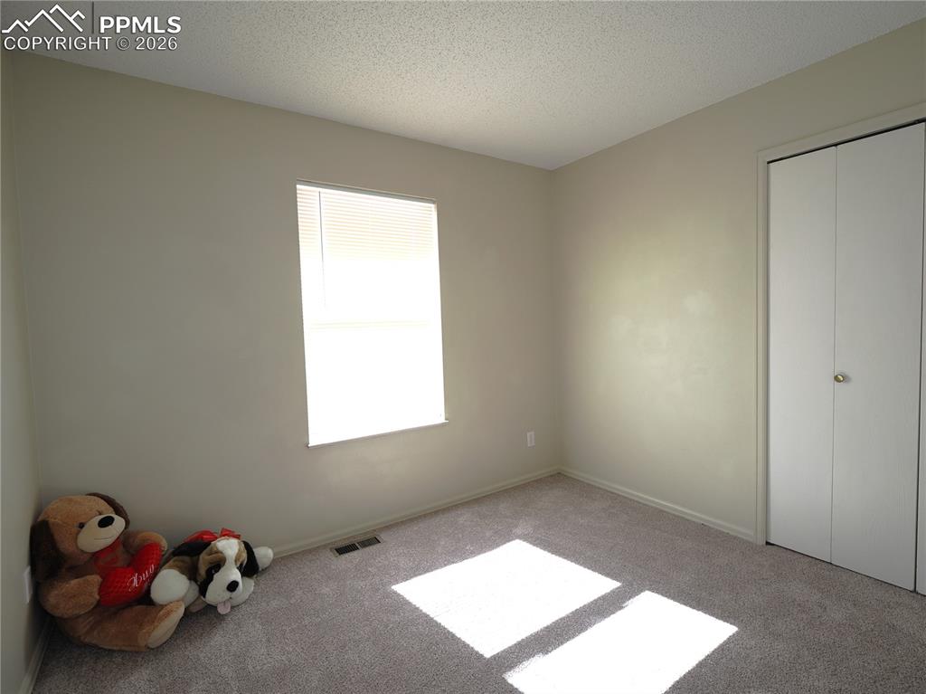 6870 Chippewa Road Colorado Springs, CO 80915 - Photo 18 of 30