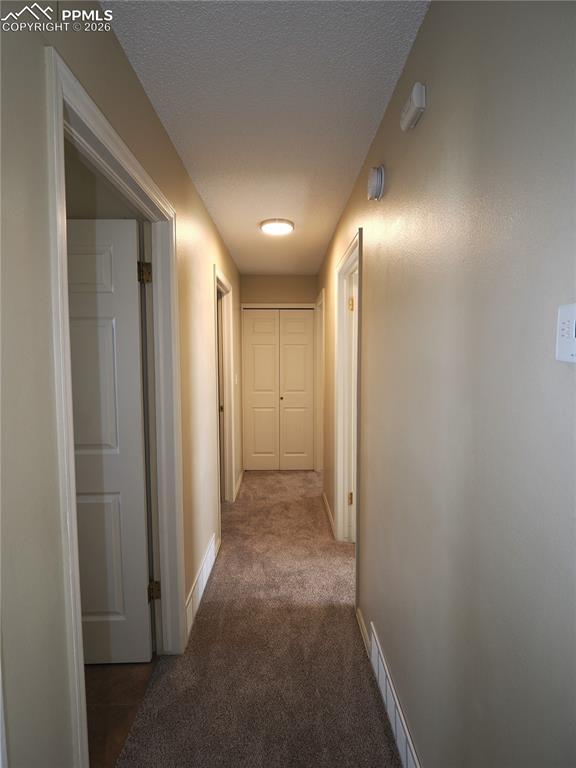 6870 Chippewa Road Colorado Springs, CO 80915 - Photo 22 of 30