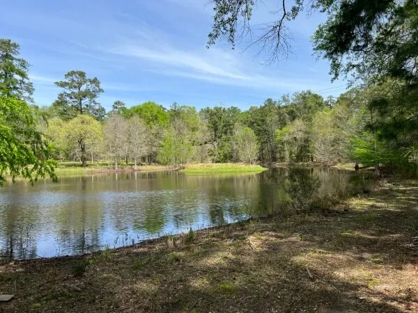 $2,553,000 | 9296 County Road 302, Plantersville, TX 77363
