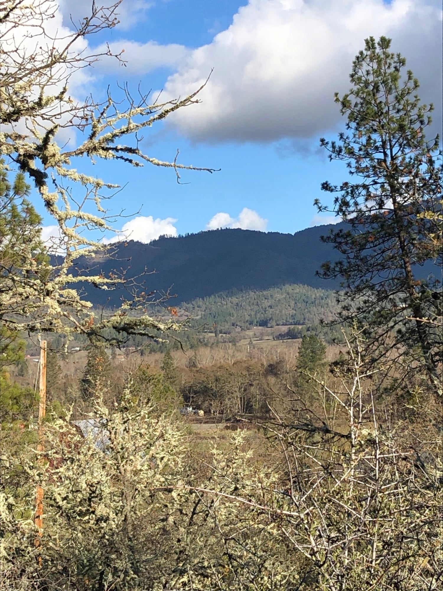 0 Messinger Road Williams, OR 97544 - Photo 5 of 13 VIEWS