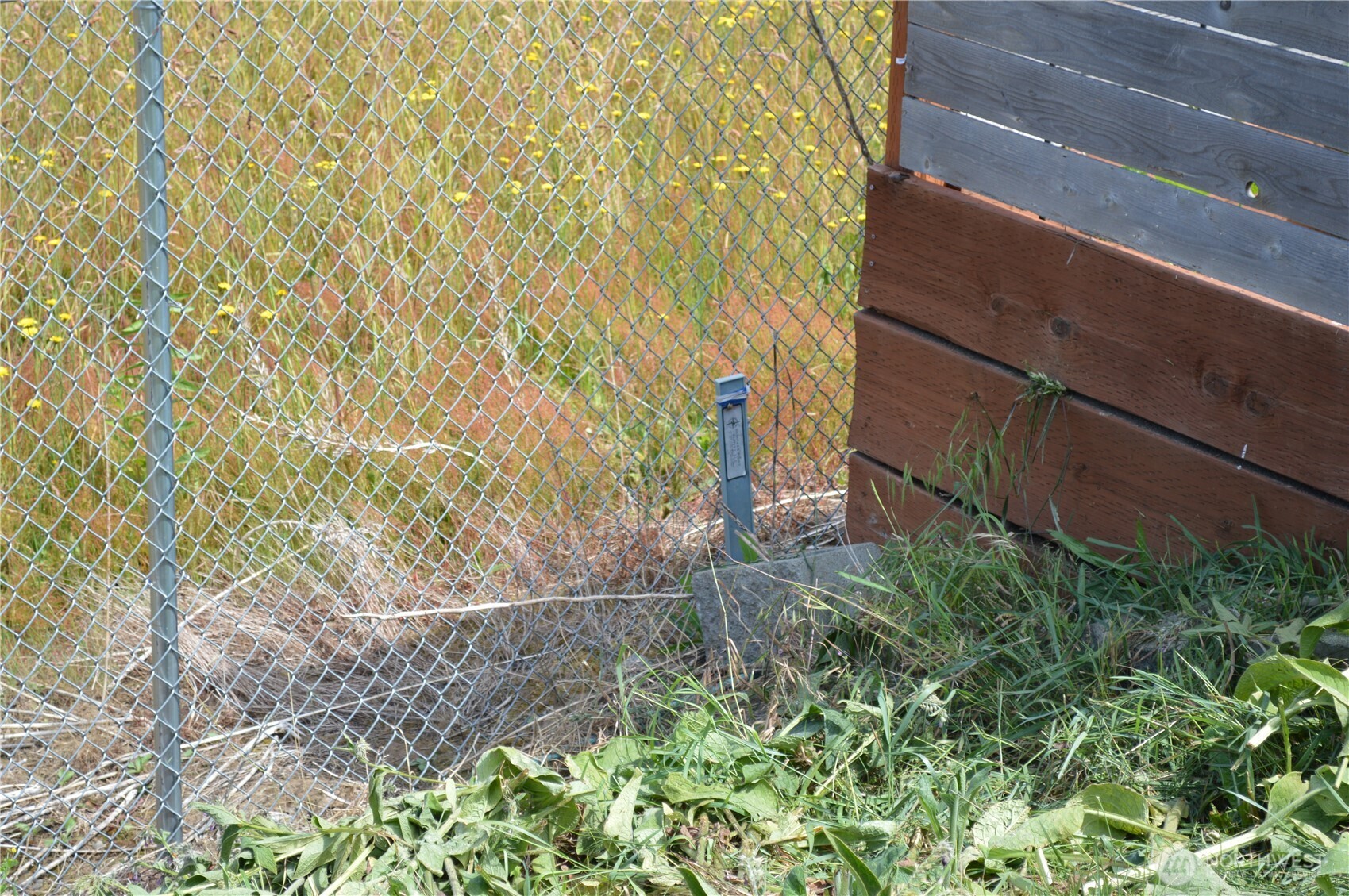 1340 Kamm Road Lynden, WA 98264 - Photo 9 of 17