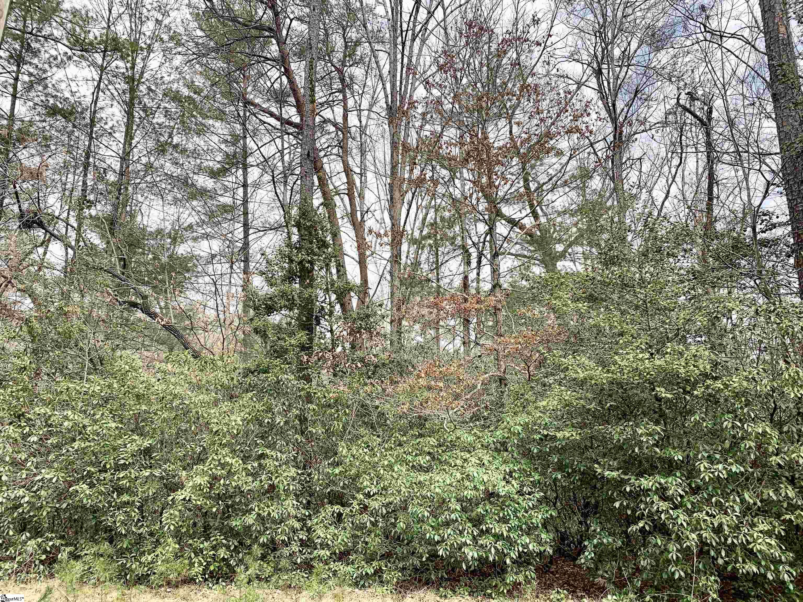 322 Gauley Falls Road Pickens, SC 29671 - Photo 1 of 6 Gallery Image 1