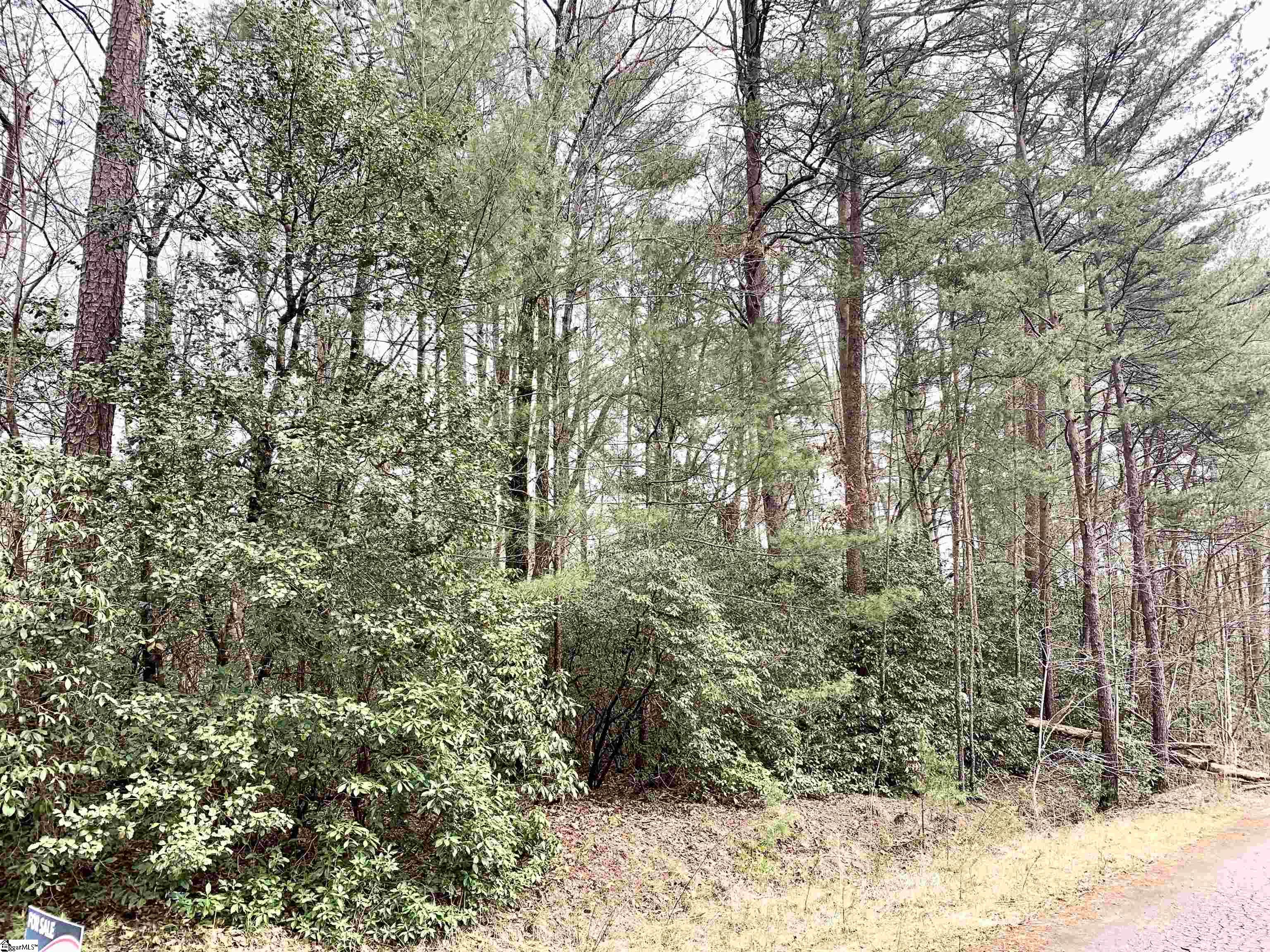 322 Gauley Falls Road Pickens, SC 29671 - Photo 2 of 6 Gallery Image 2