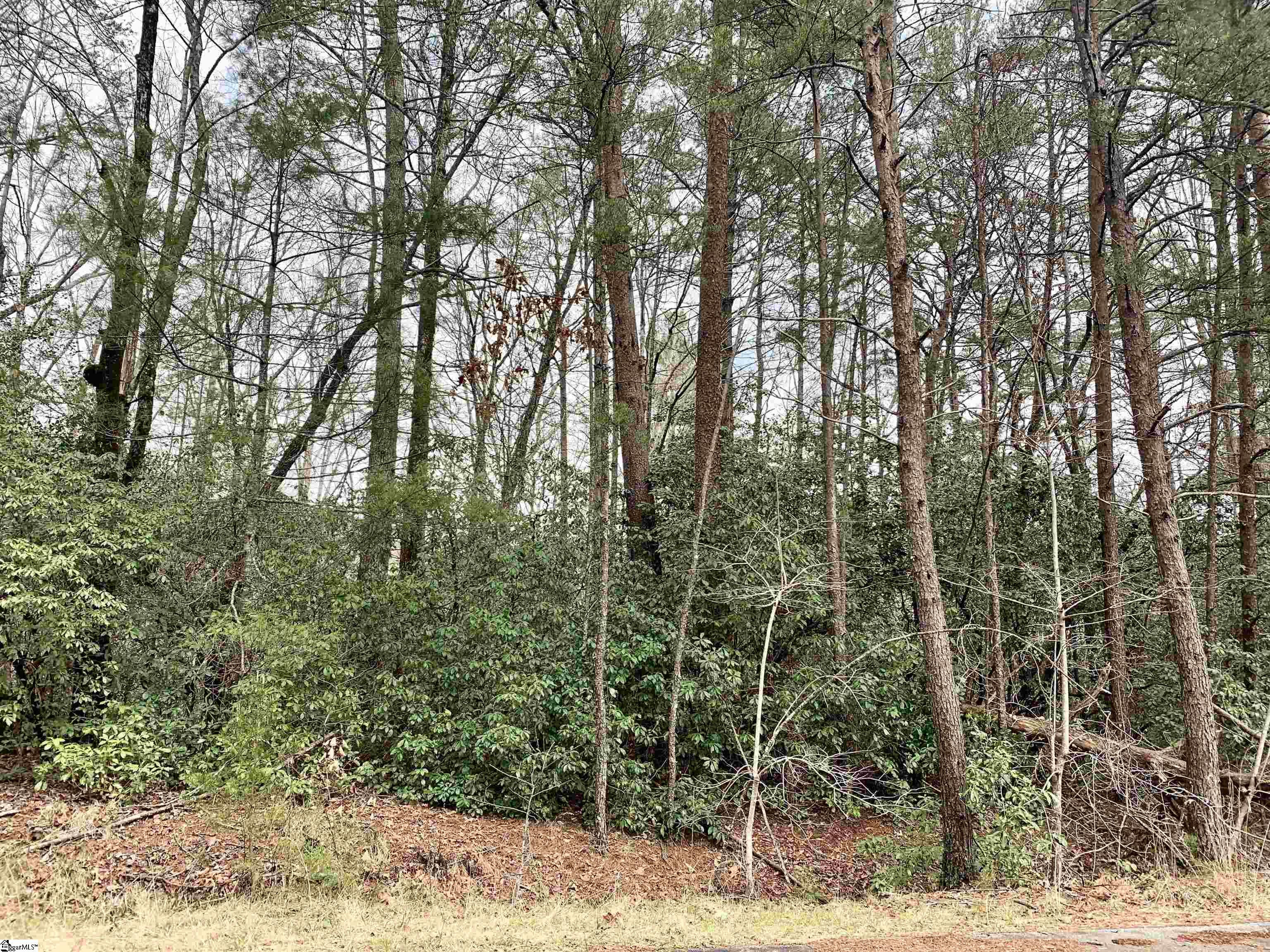 322 Gauley Falls Road Pickens, SC 29671 - Photo 5 of 6 Gallery Image 5