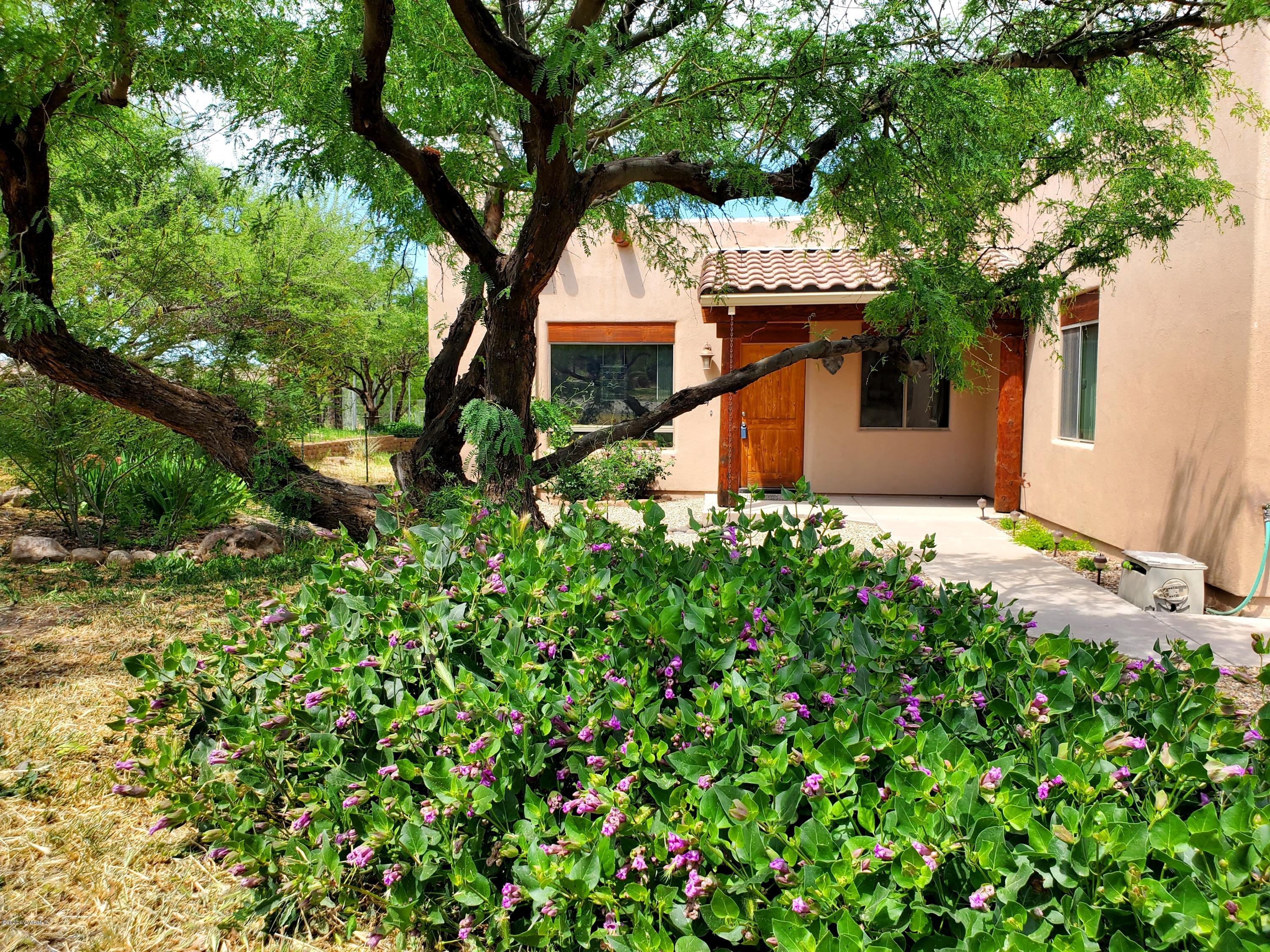 5600 North Laura Lane Rimrock, AZ 86335 - Photo 1 of 39 Perrennial 4 O'Clocks come up every year