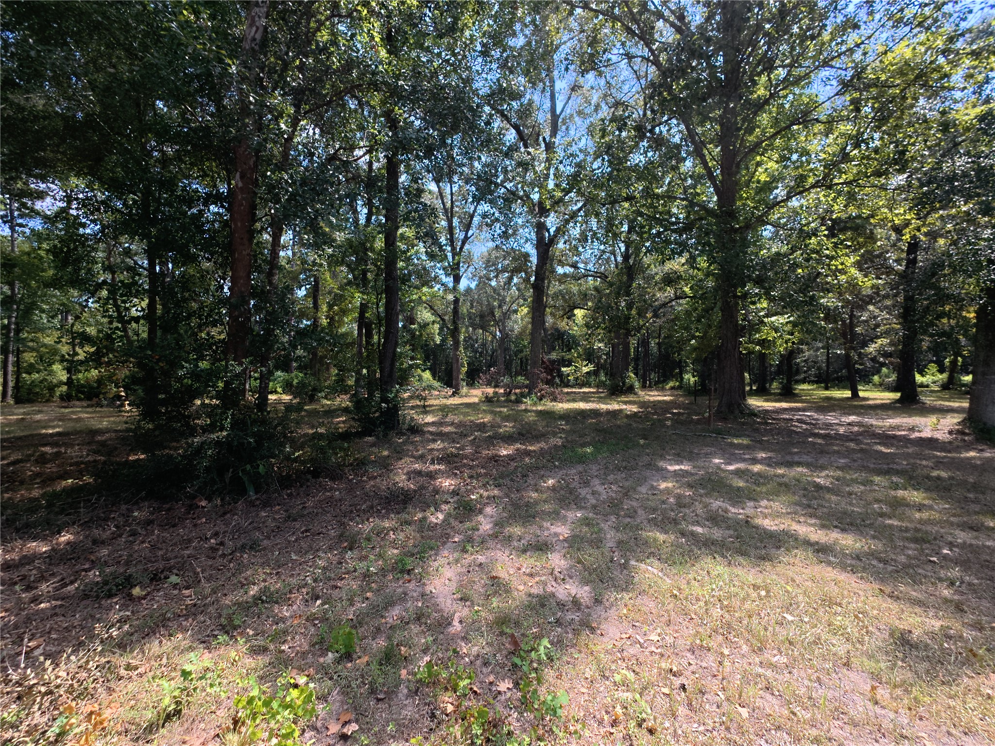 5 River Terrace Road Huffman, TX 77336 - Photo 2 of 7 Gallery Image 2